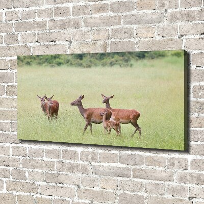 Canvas wall art Deer with young