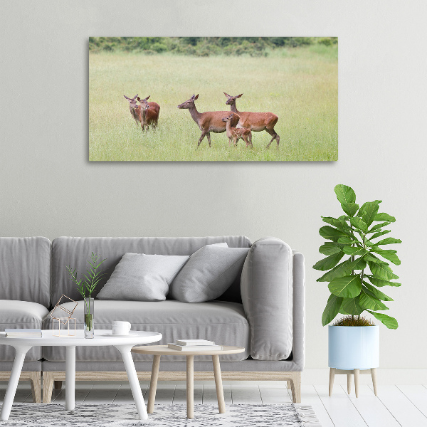 Canvas wall art Deer with young