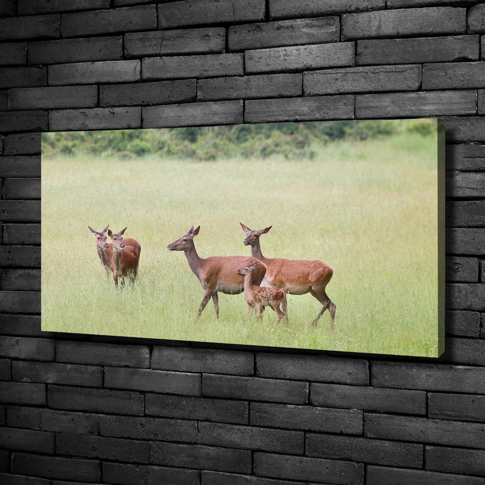 Canvas wall art Deer with young