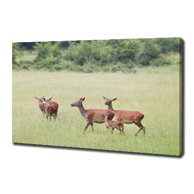 Canvas wall art Deer with young