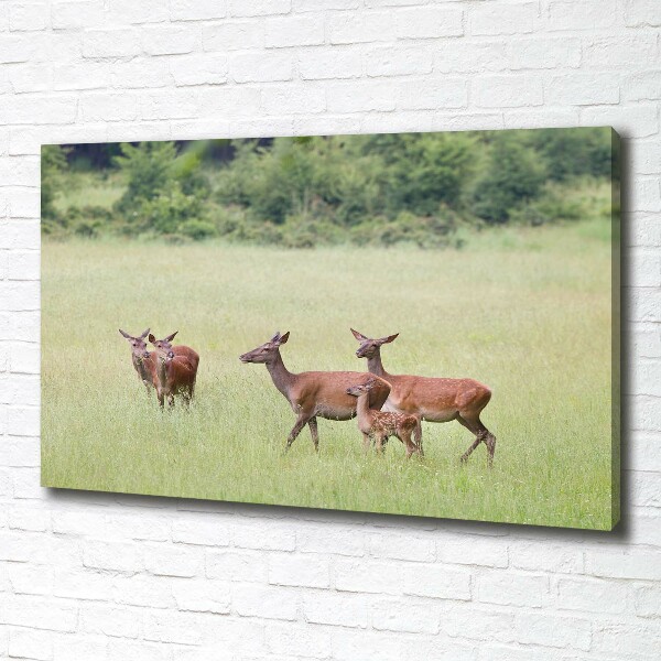 Canvas wall art Deer with young