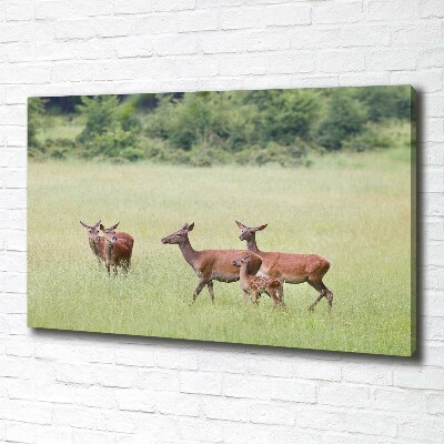 Canvas wall art Deer with young