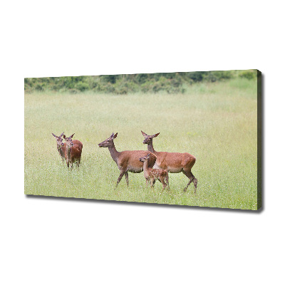 Canvas wall art Deer with young