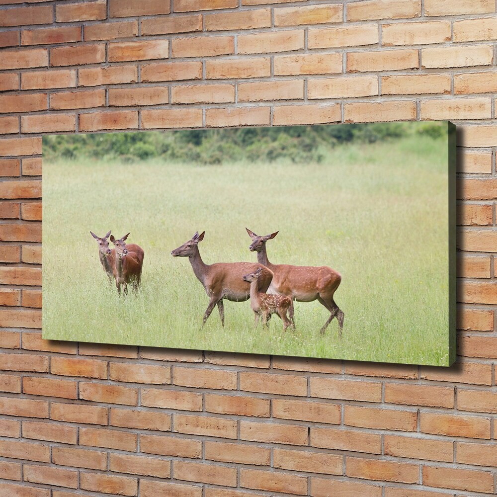 Canvas wall art Deer with young