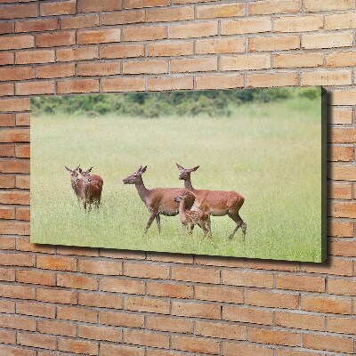 Canvas wall art Deer with young