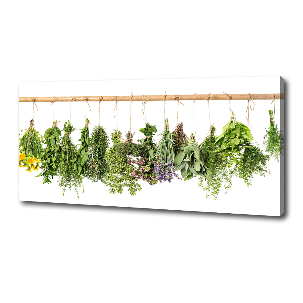 Canvas wall art Herbs on a string