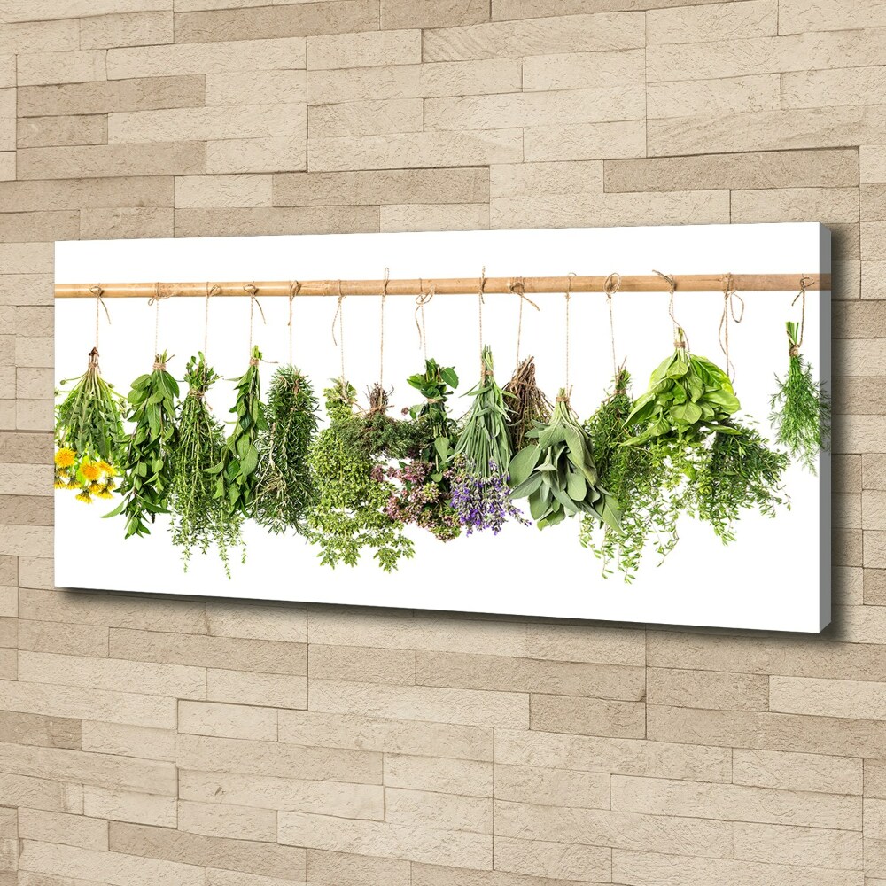 Canvas wall art Herbs on a string