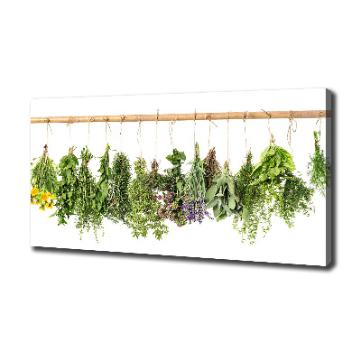 Canvas wall art Herbs on a string