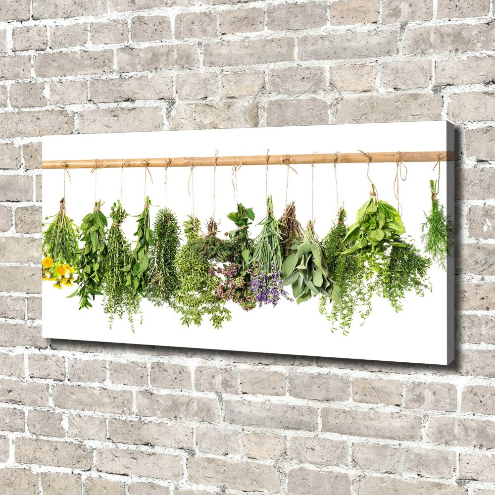 Canvas wall art Herbs on a string