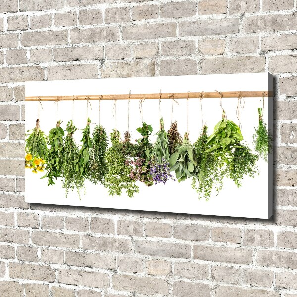 Canvas wall art Herbs on a string