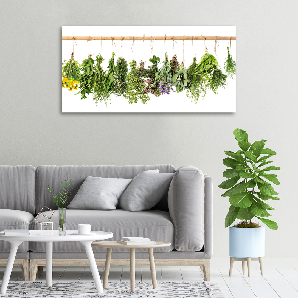 Canvas wall art Herbs on a string