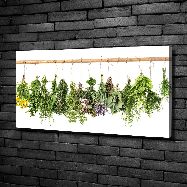 Canvas wall art Herbs on a string