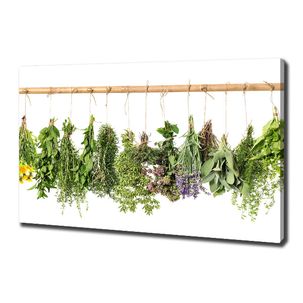 Canvas wall art Herbs on a string