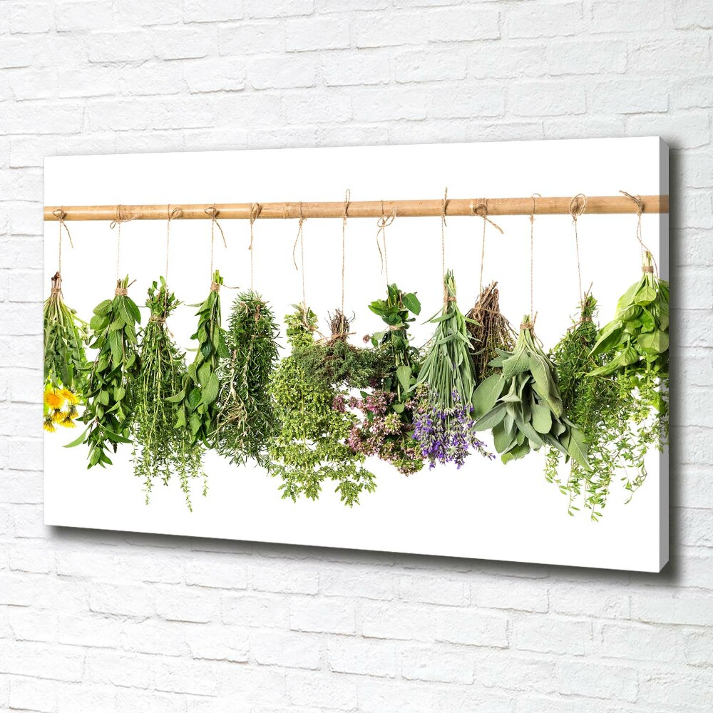 Canvas wall art Herbs on a string