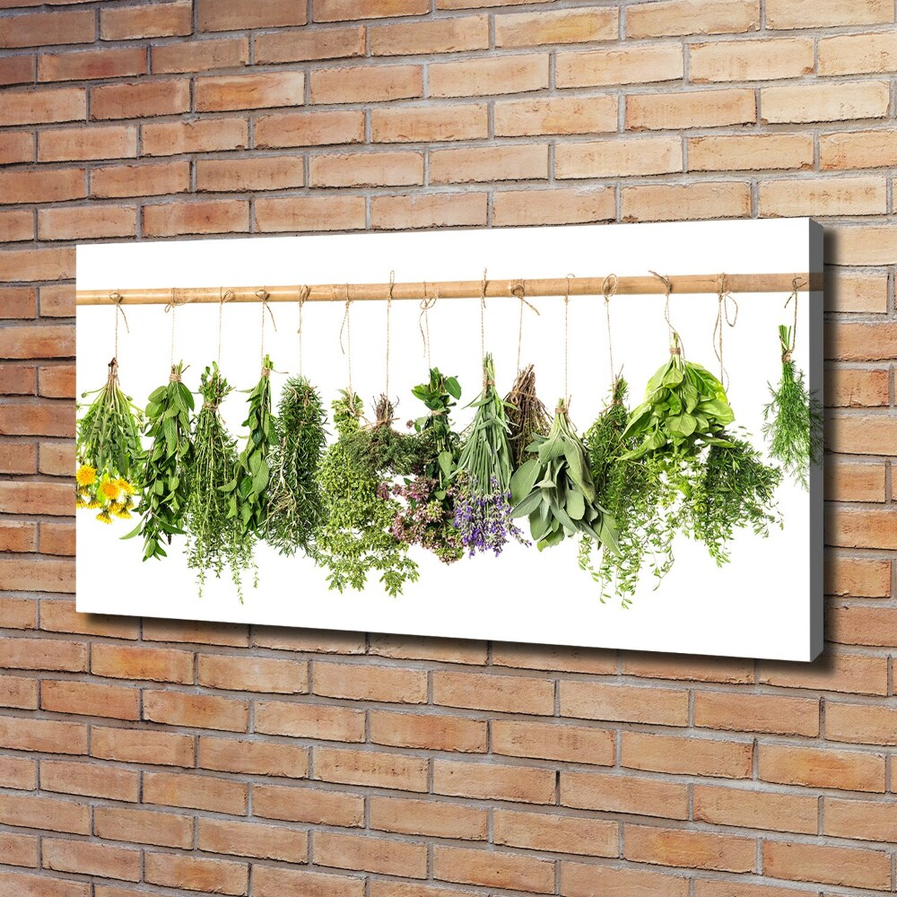 Canvas wall art Herbs on a string