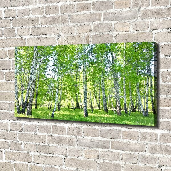 Canvas wall art Birch