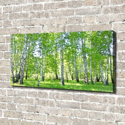 Canvas wall art Birch