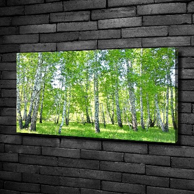 Canvas wall art Birch