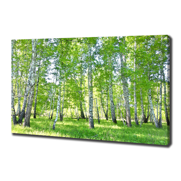 Canvas wall art Birch