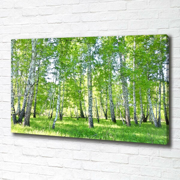 Canvas wall art Birch