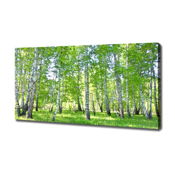 Canvas wall art Birch