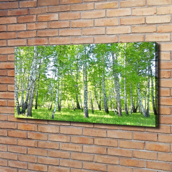 Canvas wall art Birch