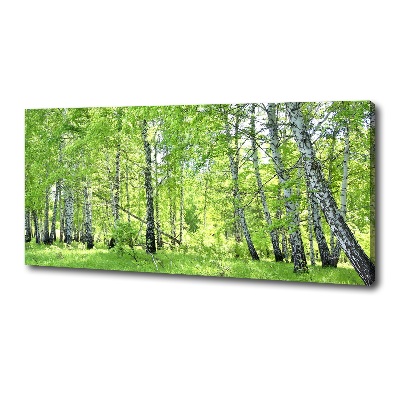 Canvas wall art Birch forest