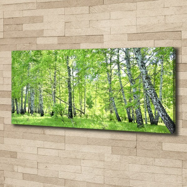 Canvas wall art Birch forest