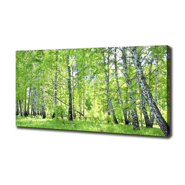 Canvas wall art Birch forest