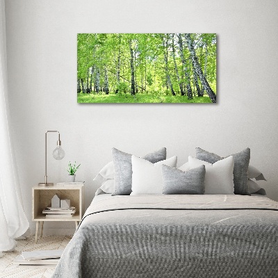 Canvas wall art Birch forest