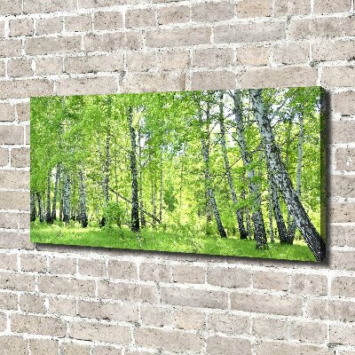 Canvas wall art Birch forest