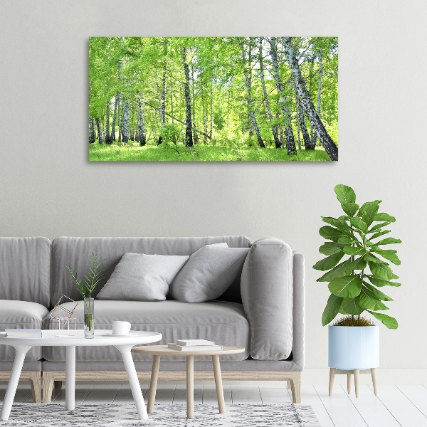 Canvas wall art Birch forest