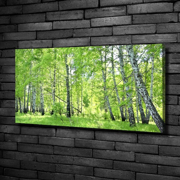 Canvas wall art Birch forest