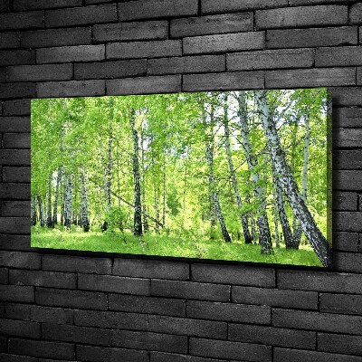 Canvas wall art Birch forest