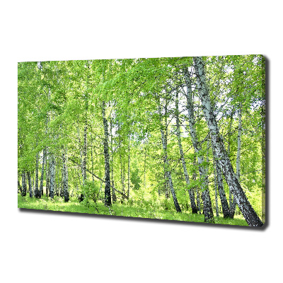 Canvas wall art Birch forest