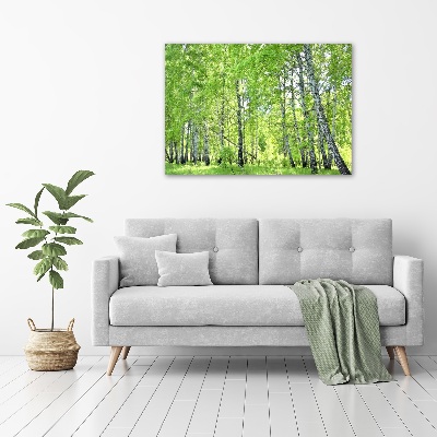 Canvas wall art Birch forest