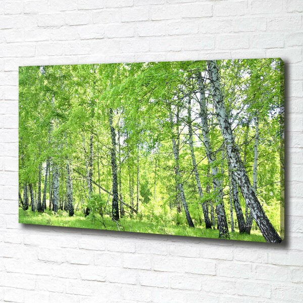 Canvas wall art Birch forest