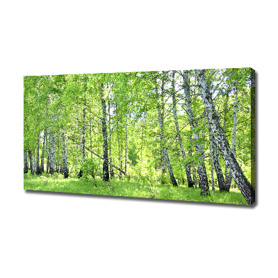 Canvas wall art Birch forest