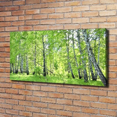 Canvas wall art Birch forest