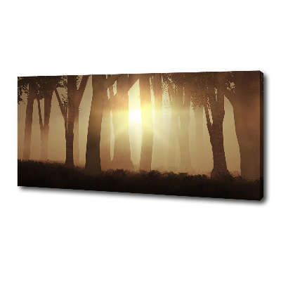 Canvas wall art Fog in the forest