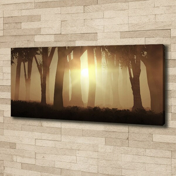 Canvas wall art Fog in the forest