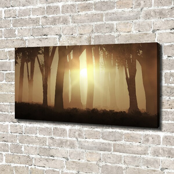 Canvas wall art Fog in the forest