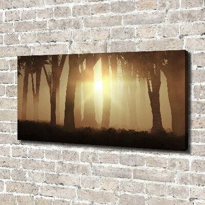 Canvas wall art Fog in the forest