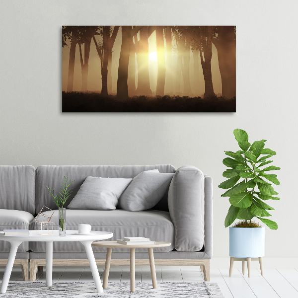 Canvas wall art Fog in the forest