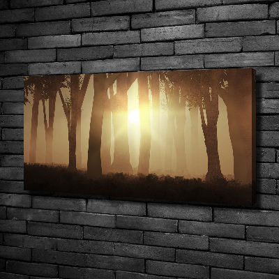 Canvas wall art Fog in the forest