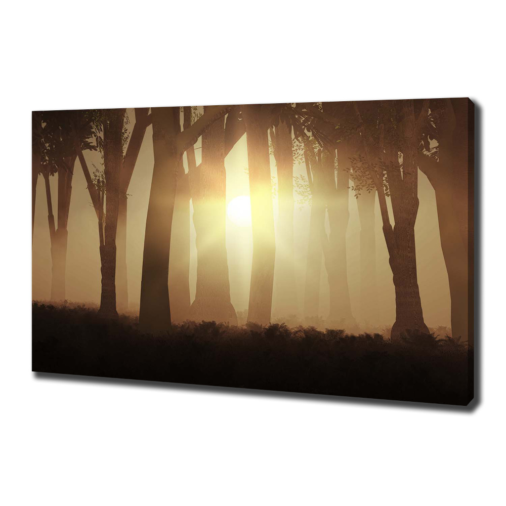 Canvas wall art Fog in the forest