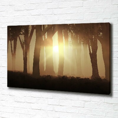 Canvas wall art Fog in the forest