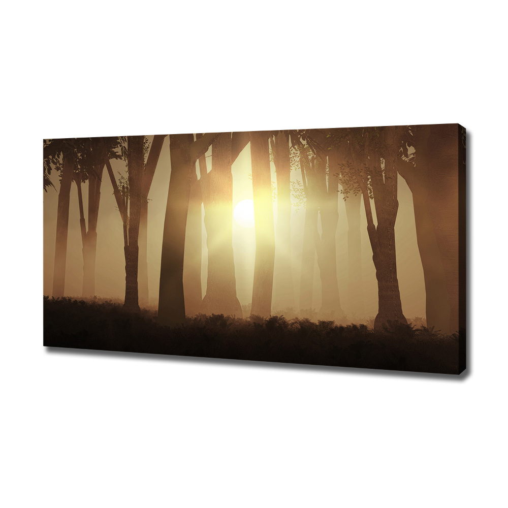 Canvas wall art Fog in the forest