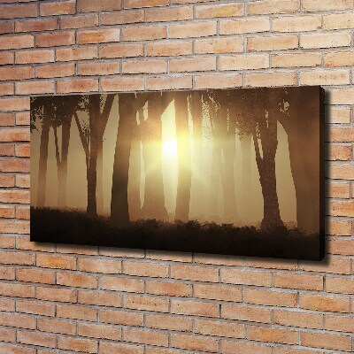 Canvas wall art Fog in the forest