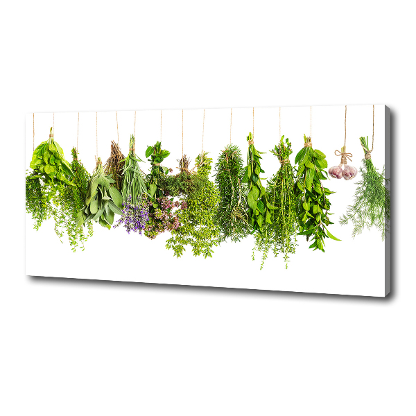 Canvas wall art Herbs on a string